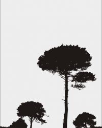 Пескоструйный рисунок Дерево 463
